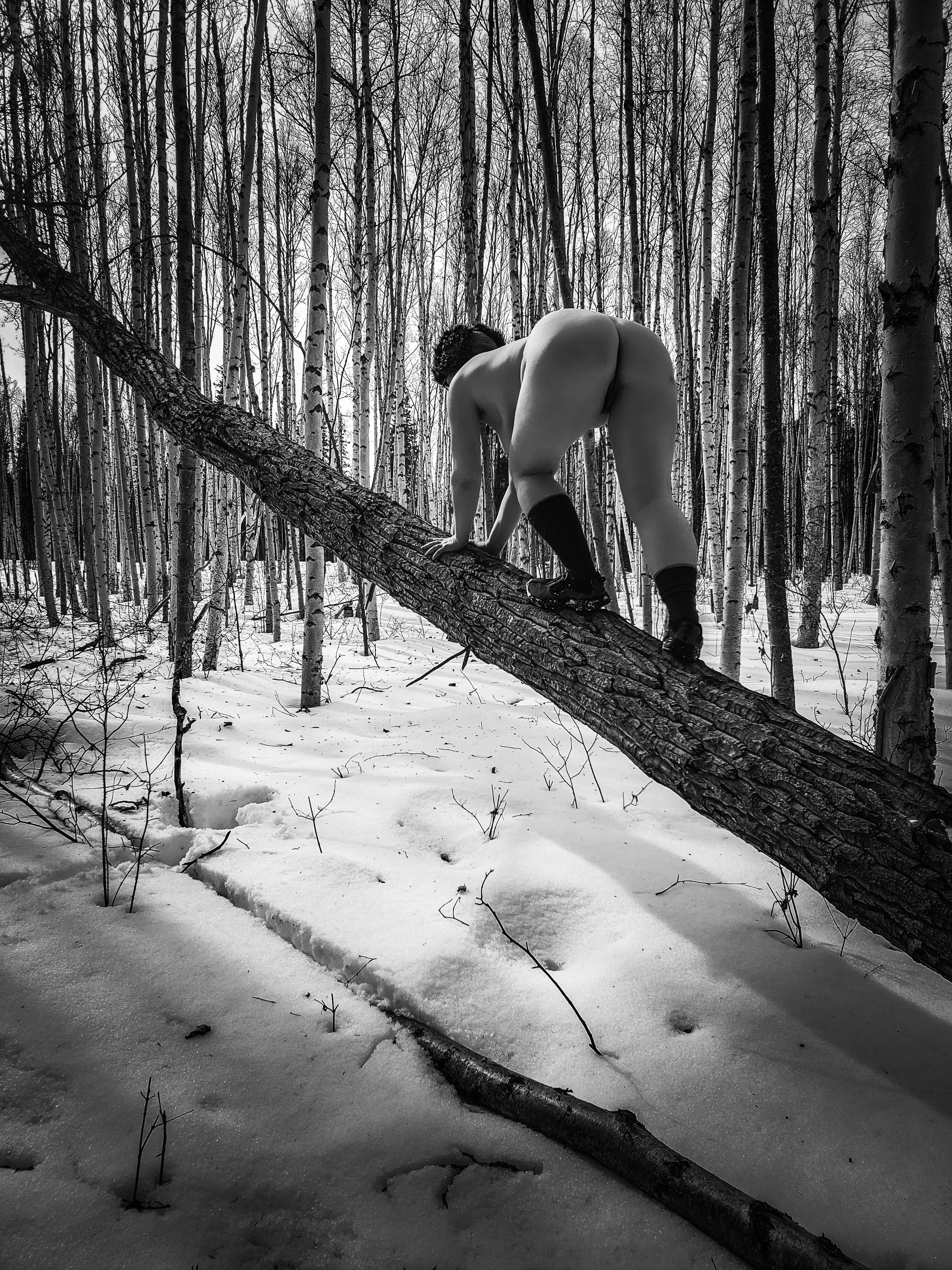Would you follow me up this tree? Would you follow me up this tree?