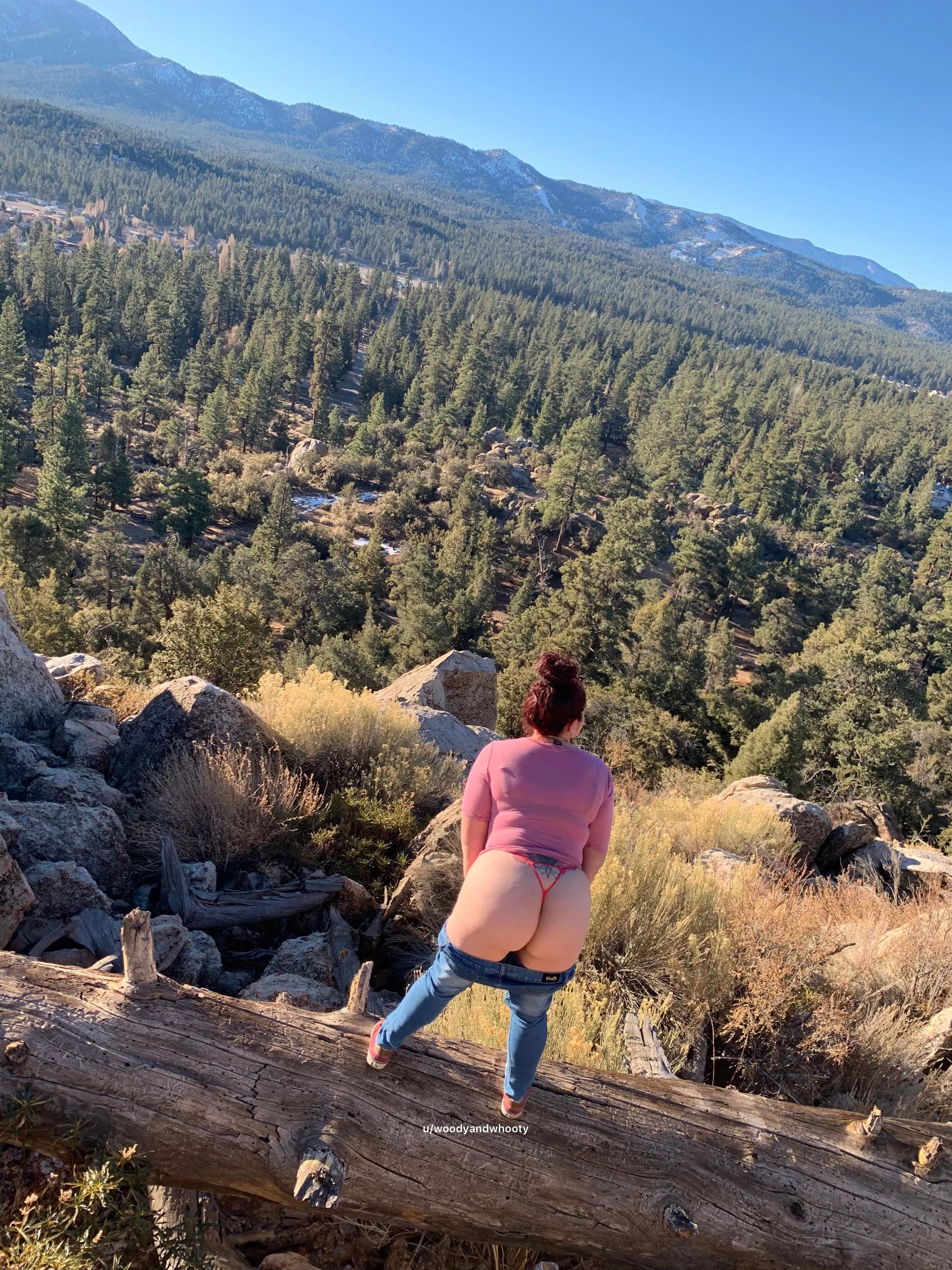 Would you fuck in the forest? Would you fuck in the forest?