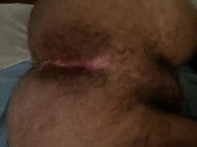 Would you fuck my hairy ass