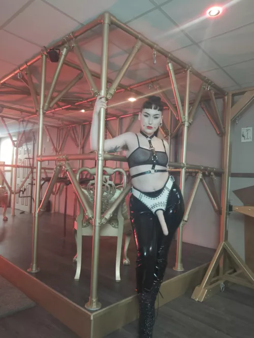 Would you get on your knees and beg to suck my 9inch cock like a good little slut? [Domme]