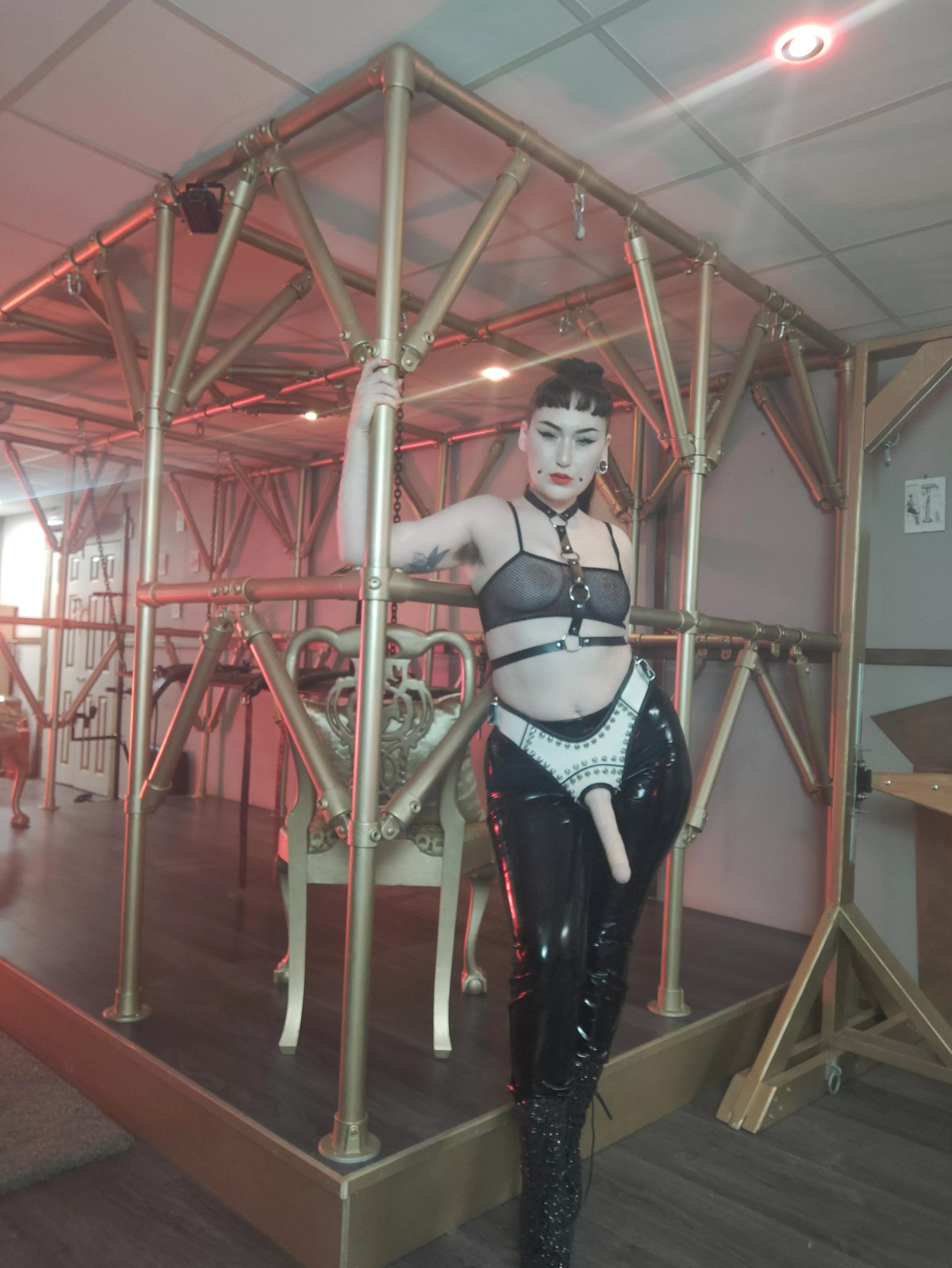 Would you get on your knees and beg to suck my 9inch cock like a good little slut? [Domme]