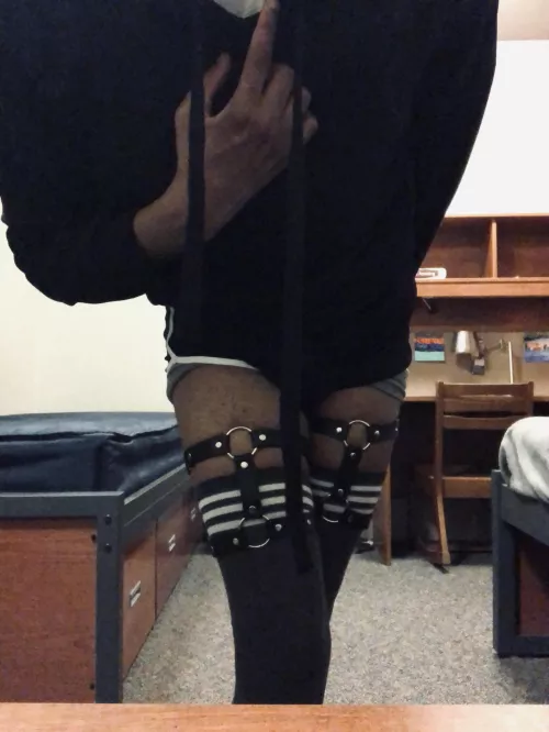 Would you have me?