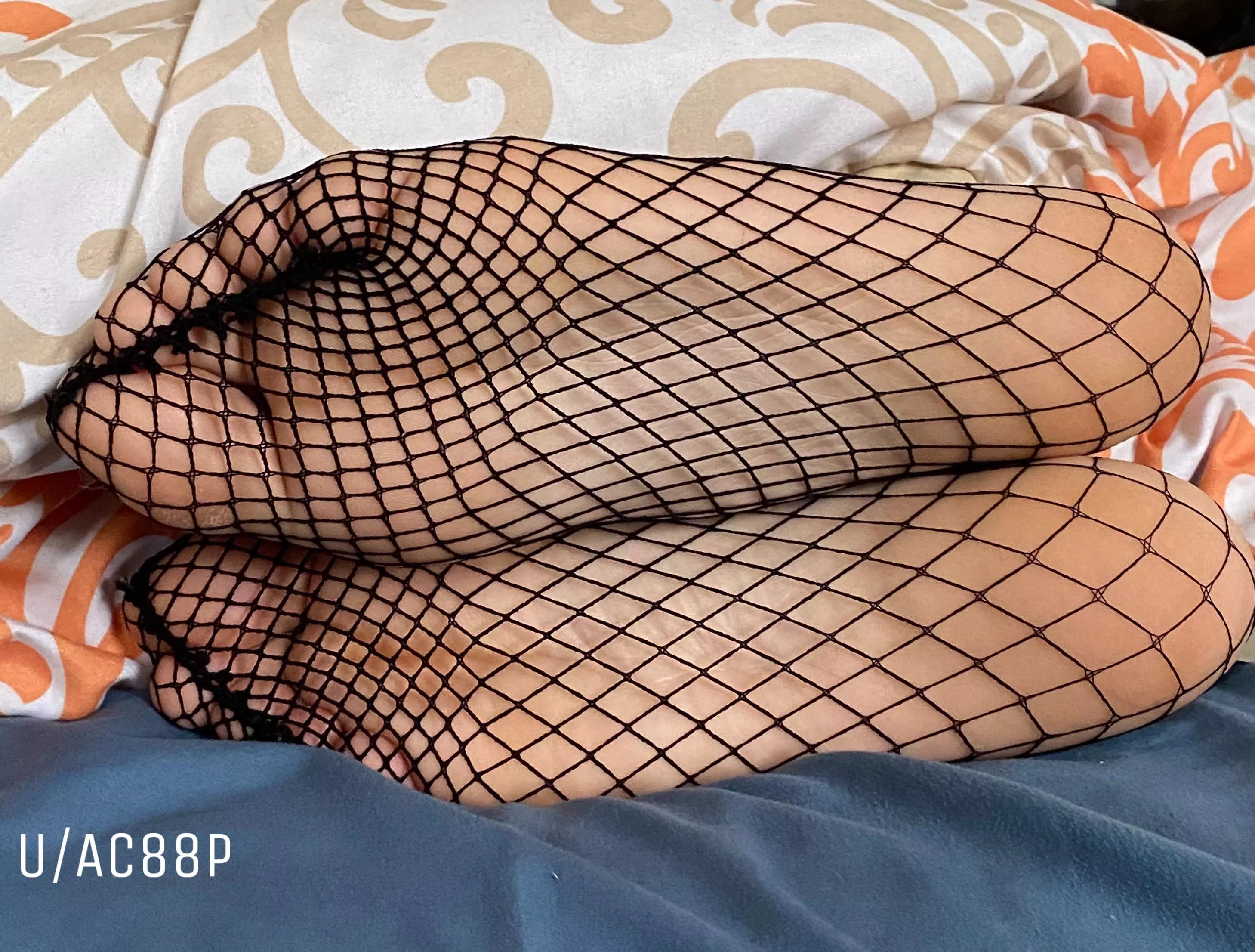 Would you last if you were sleeping next to these?