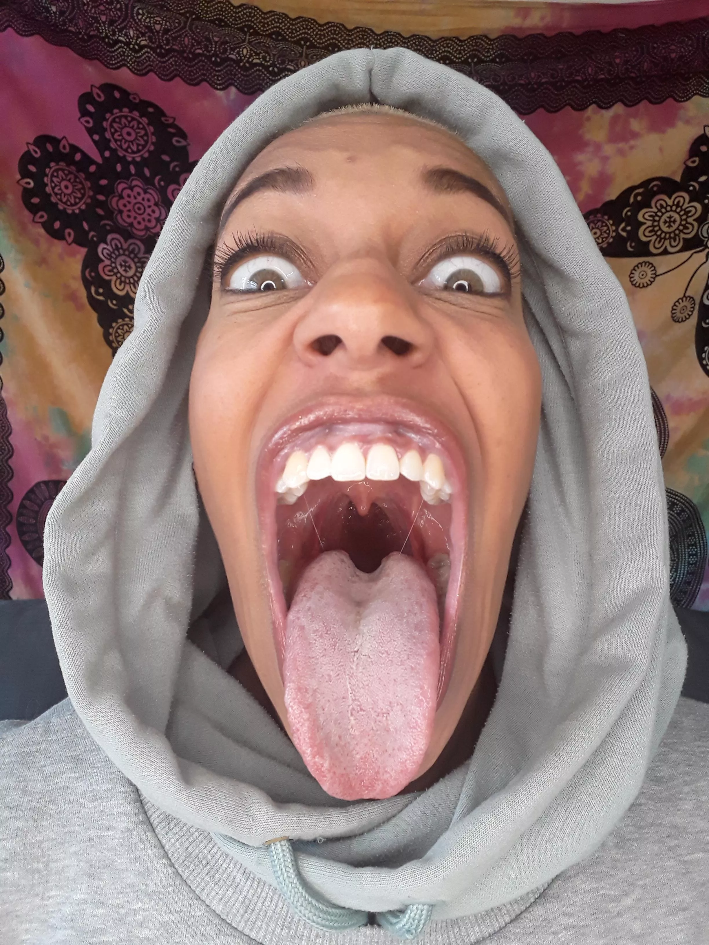 Would you Let me lick you or are you backing away? ?