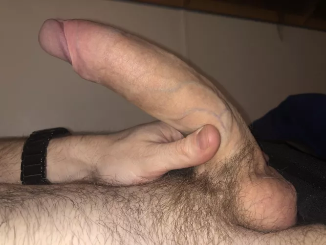 Would you let my curve hit ur prostate?๐