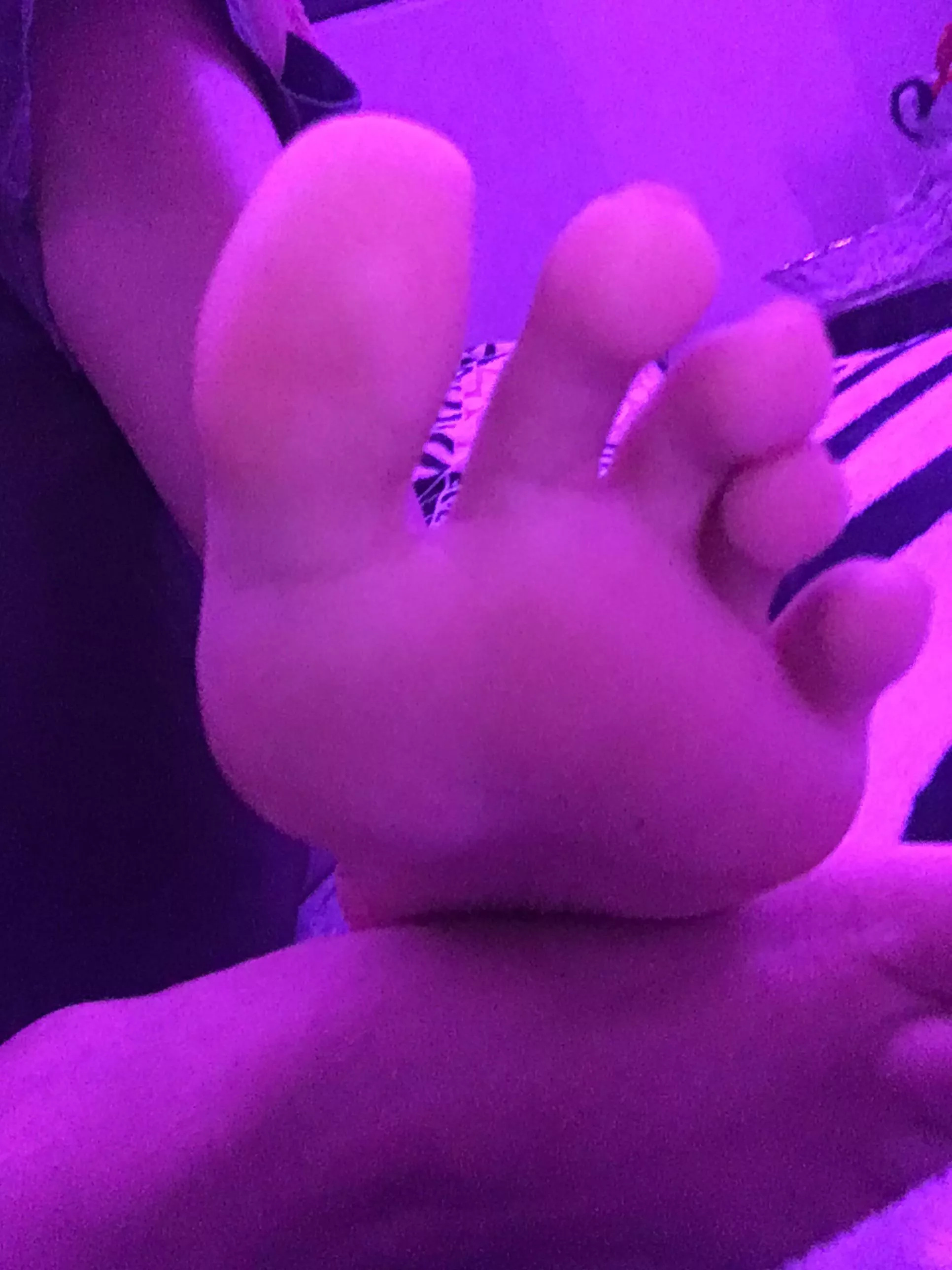 Would you lick it? Would you lick it?
