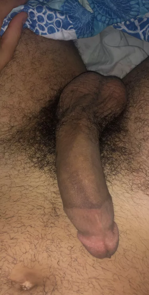 Would you lick my hairy balls? Would you lick my hairy balls?