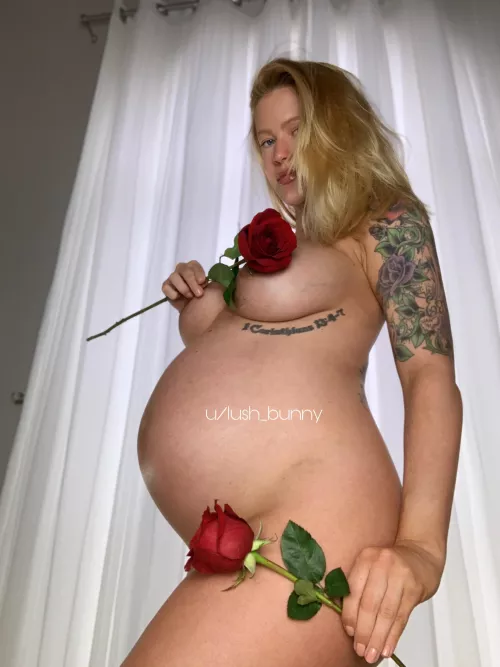 Would you like a rose?