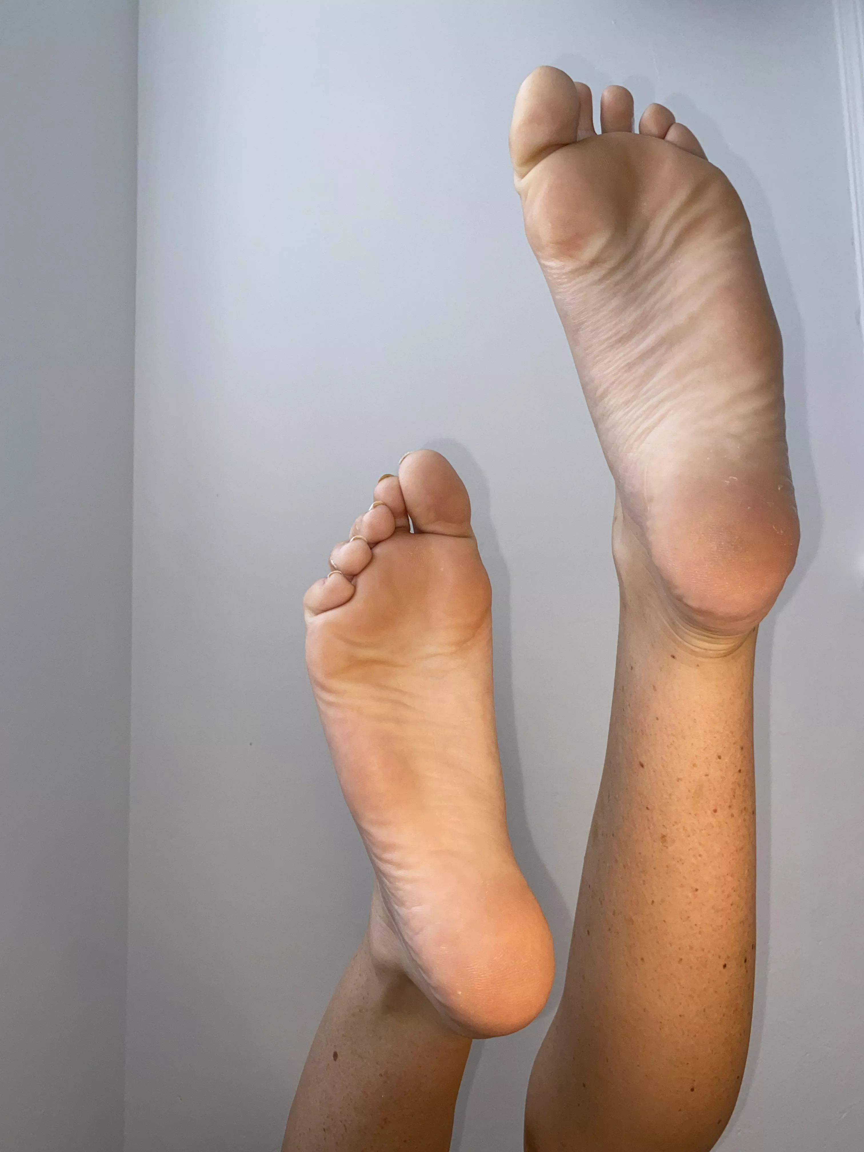 Would you like my feet in your face? Would you like my feet in your face?