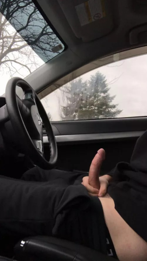 Would you like to go for a “car” ride?