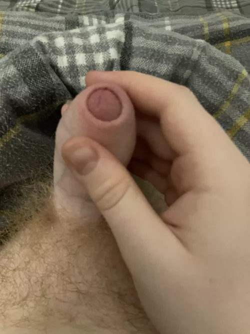 Would you like to lick it?