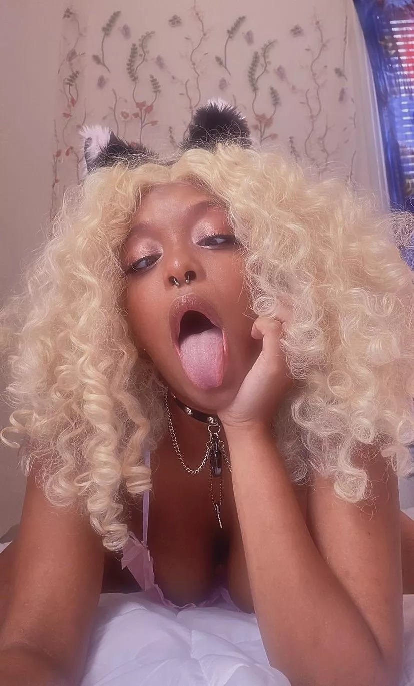 would you like to see my kitty?