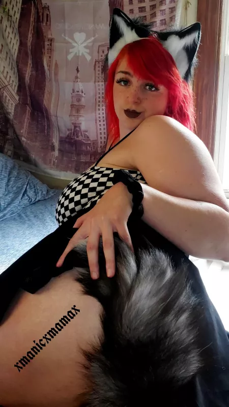 Would you pet? Would you pet?