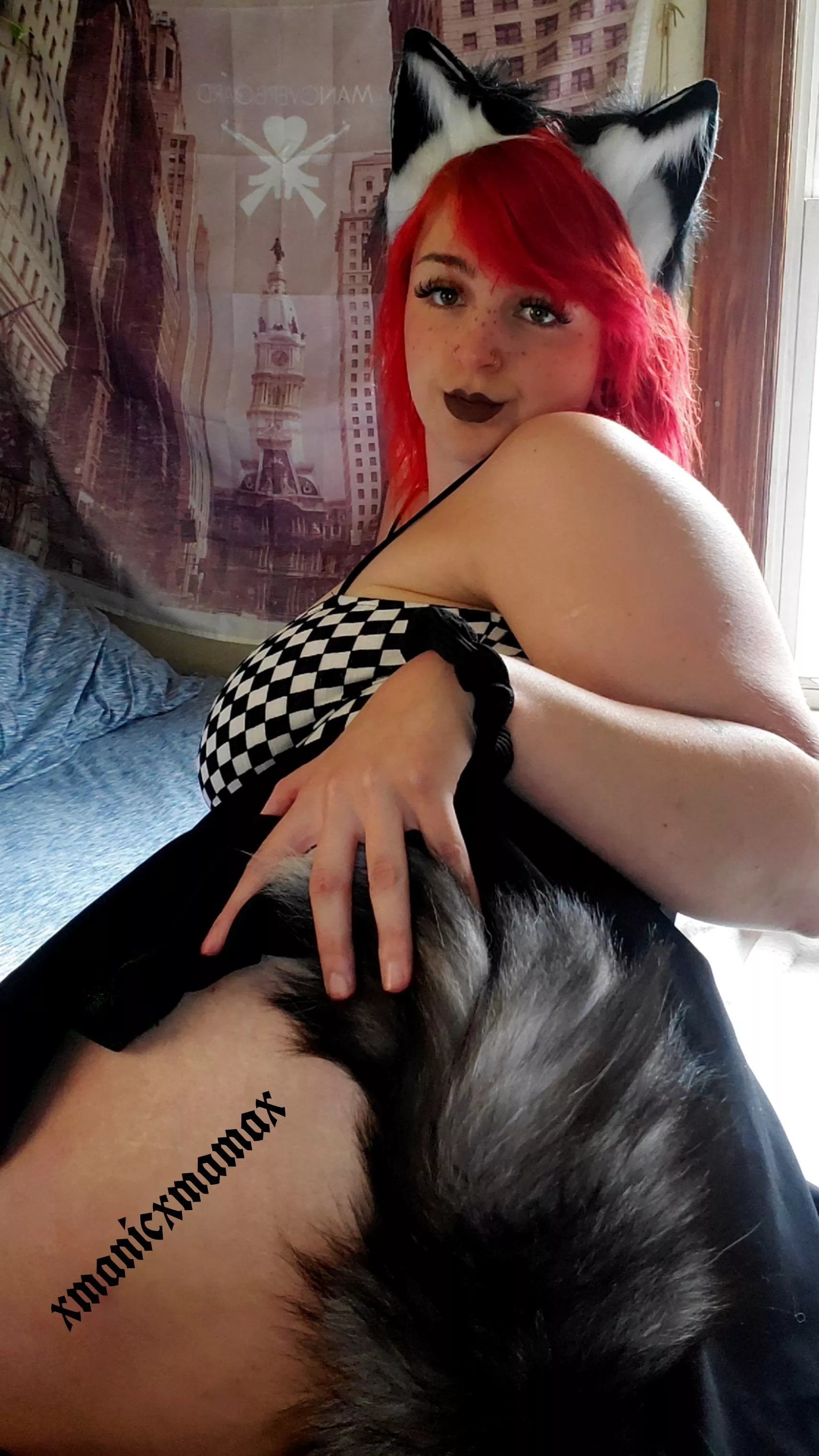 Would you pet? Would you pet?