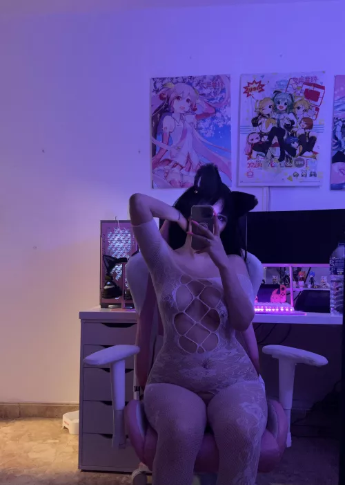 would you play with this kitty