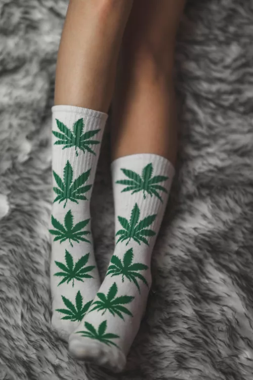 Would you smell my socks ??