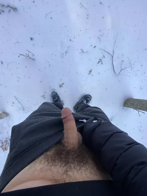 Would you suck me in the woods?