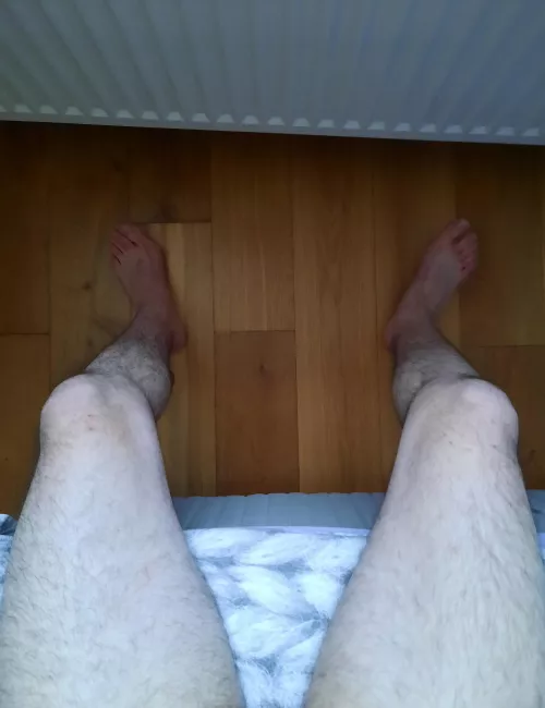 Would you take a seat on my big hairy legs ?