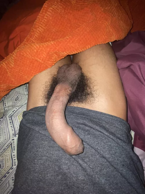 Would you take care of my morning wood?