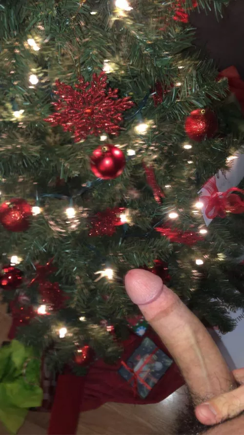 Would you take my virginity as a Christmas gift?