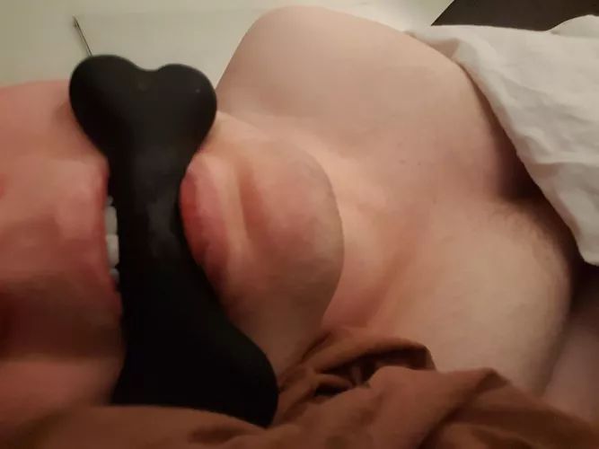 Would you want a puppy as Christmas gift?