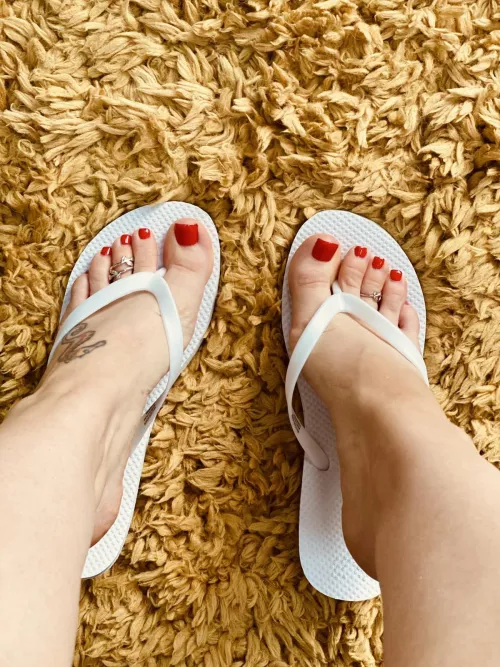 Would you worsmip my szie 13 feet?