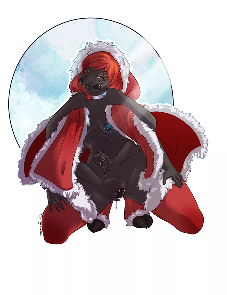 Xmas Widow Xmas Widow