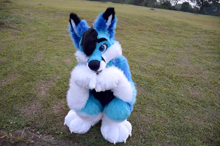 Yerf! What do you have for me? 🍇 or 🍫 maybe?