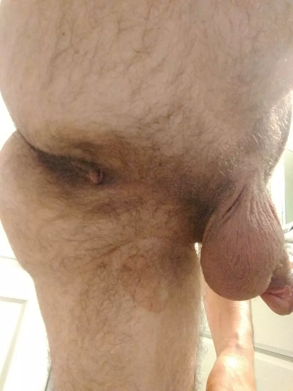 Yesterday's was received well, let's try a second post!