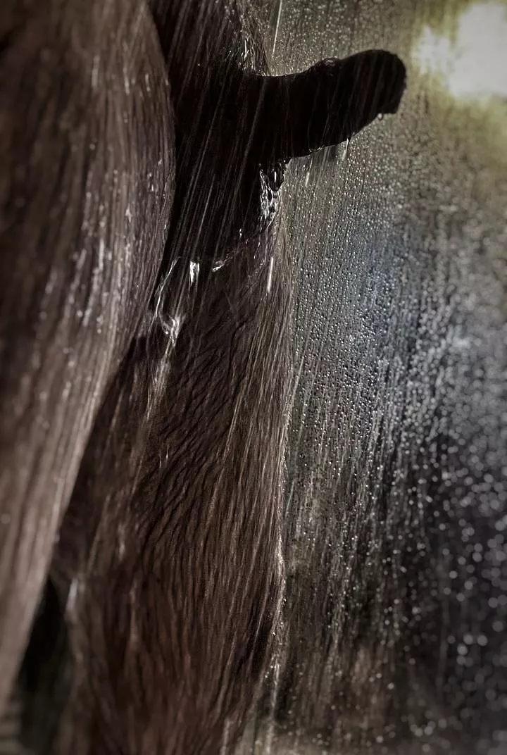 Yet another trip around the sun. The days are just drops passing by.