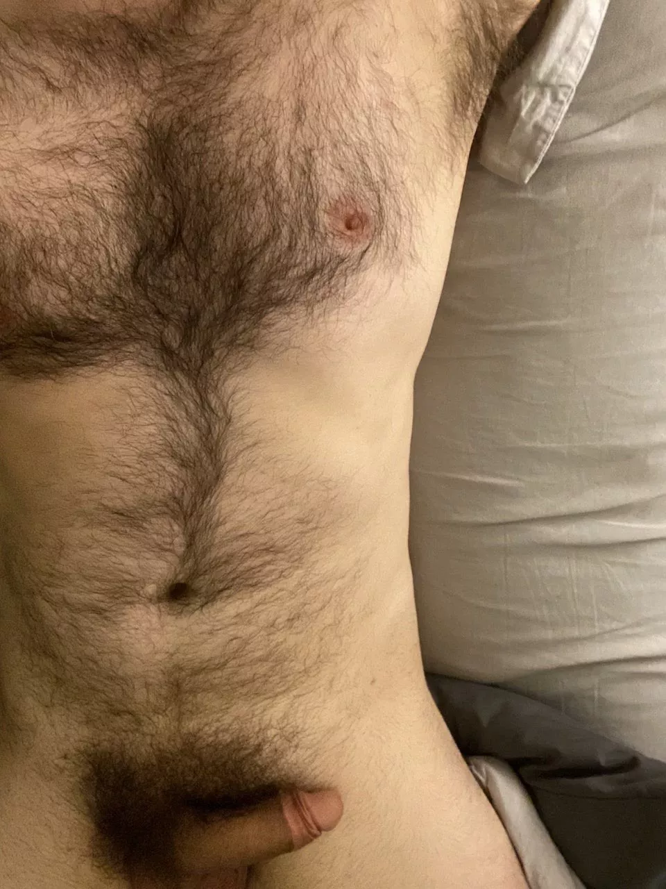 Yeti genes Yeti genes