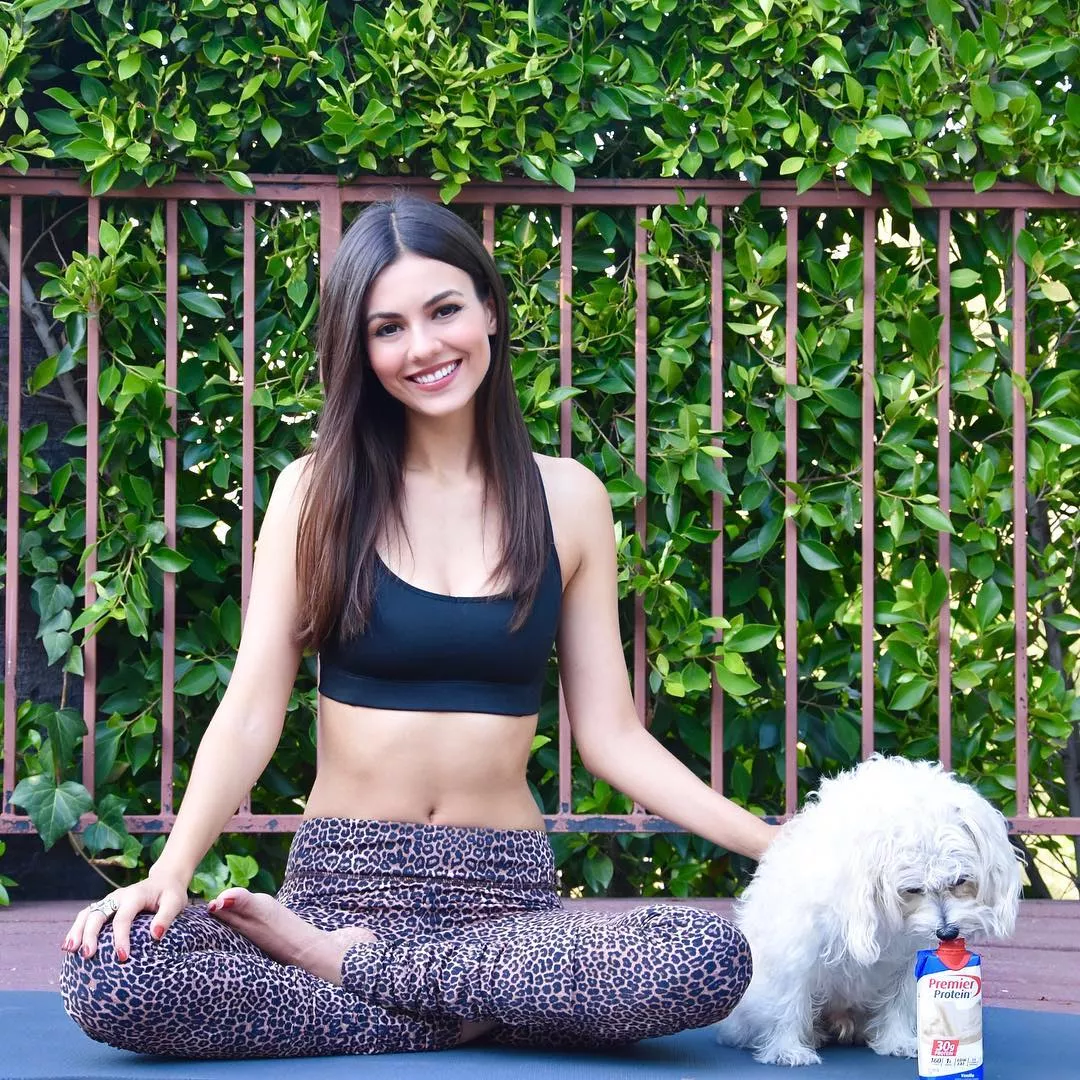 Yoga with doggo Yoga with doggo