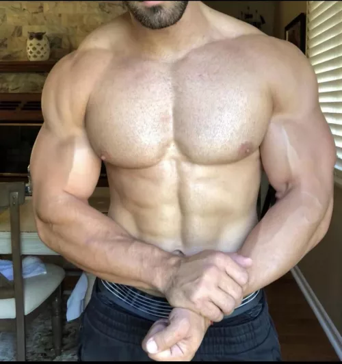 You already know who the champ is