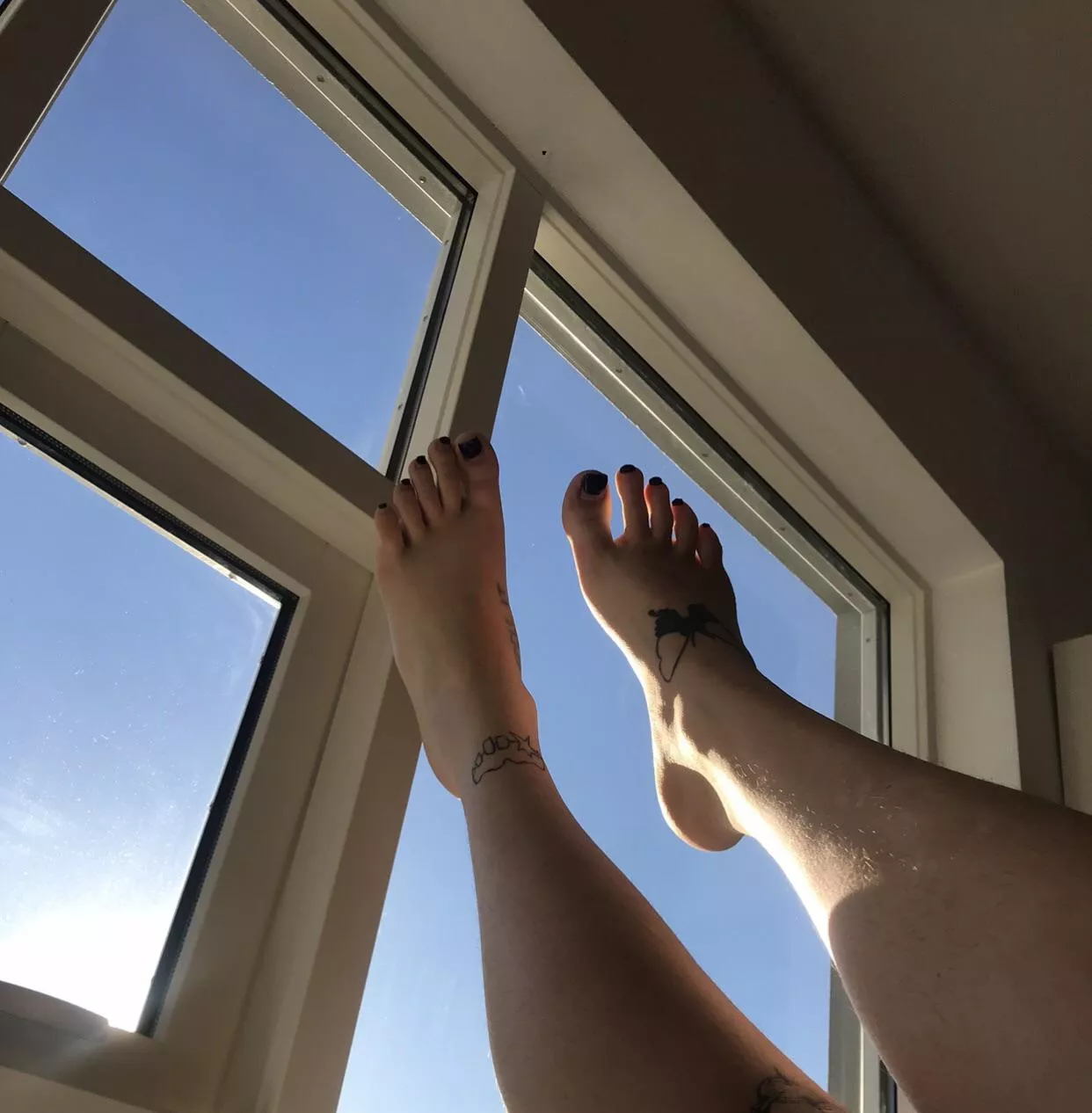 Porn Pictures Through Skylight