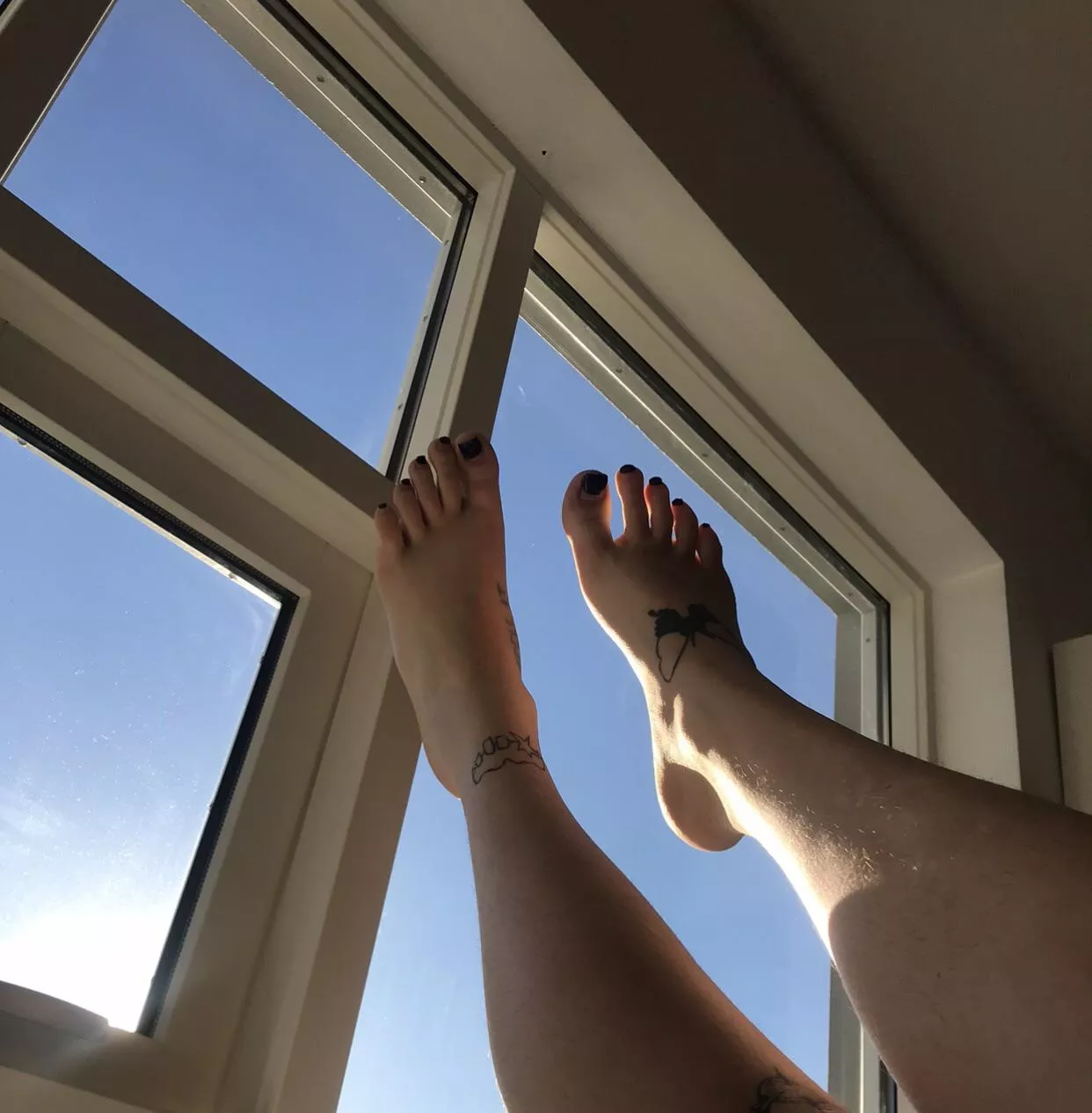 You are on a walk and see my size 13 soles through the window. What do you do? You are on a walk and see my size 13 soles through the window. What do you do?