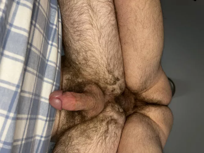 You can absolutely guarantee I left my load here 🐷