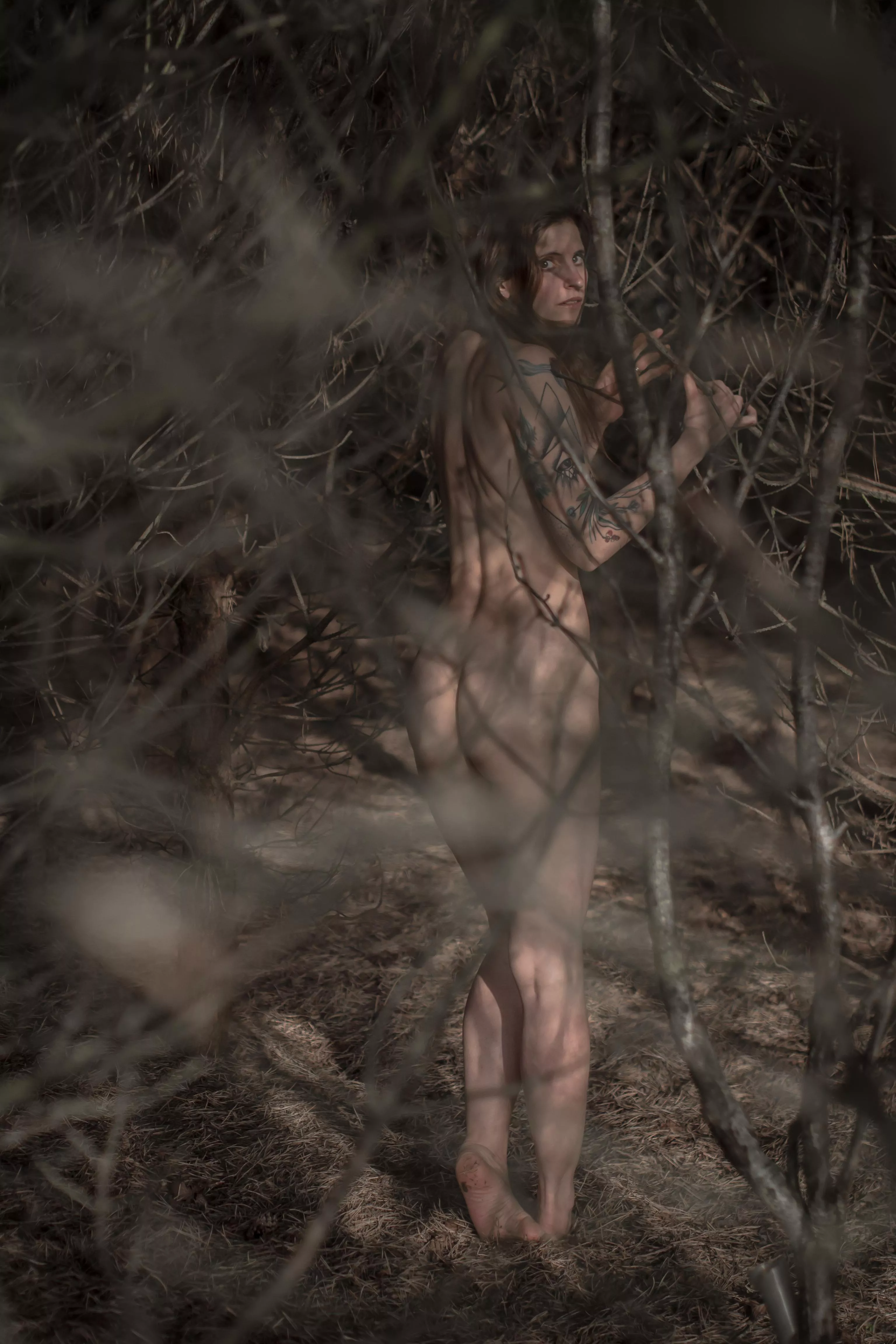 You catch her eye though the branches, they call you closer. You catch her eye though the branches, they call you closer.