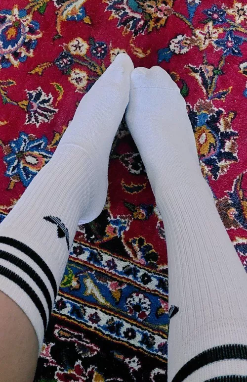 You don't deserve to just take a sniff of my socks, let alone feel them. [oc] [domme]