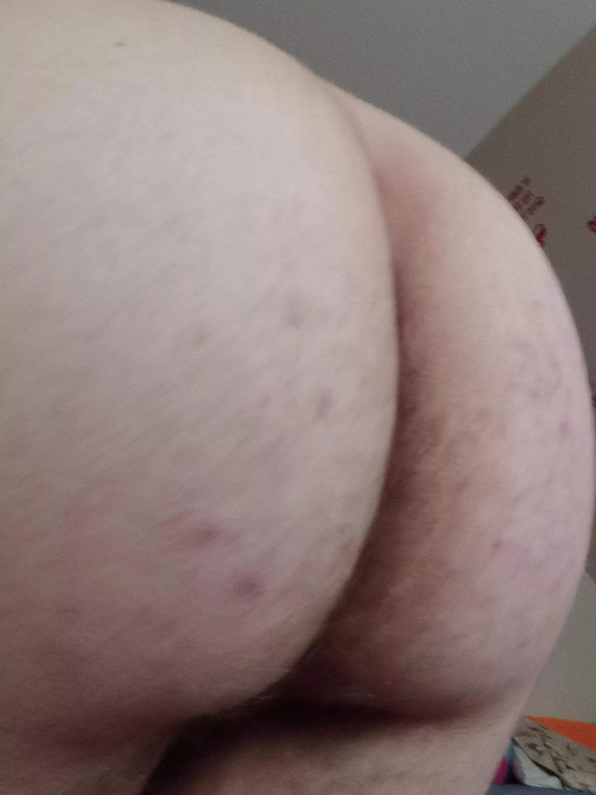 You guys like closeups?