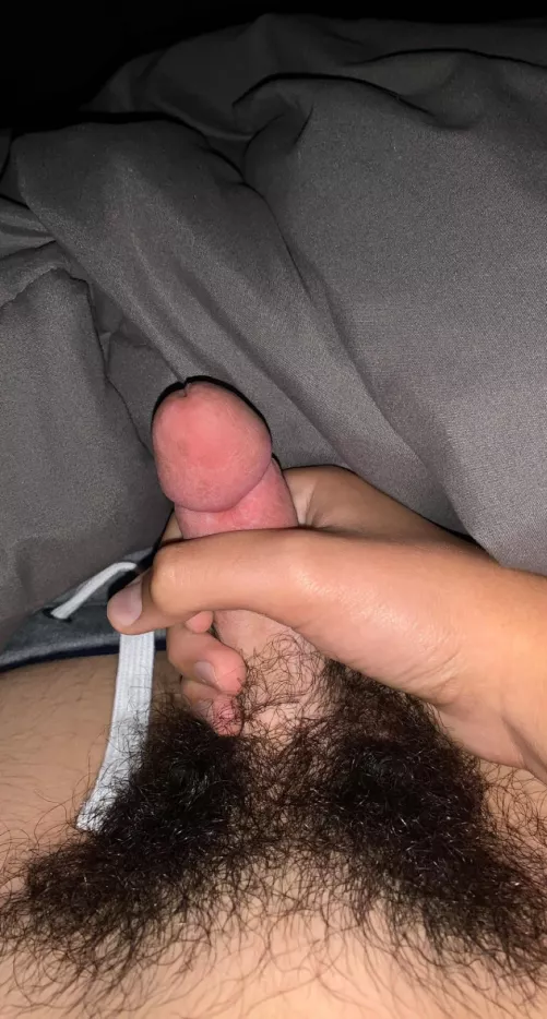 You like?