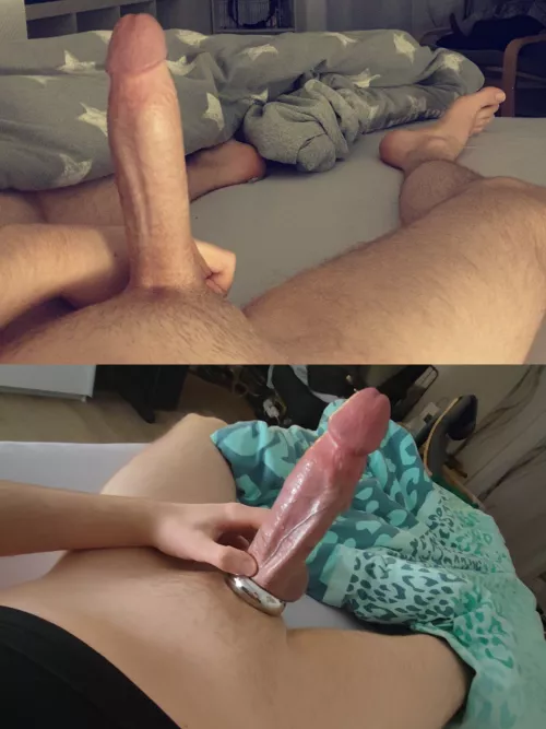 You prefer this cut German cock with or without the ring? đ