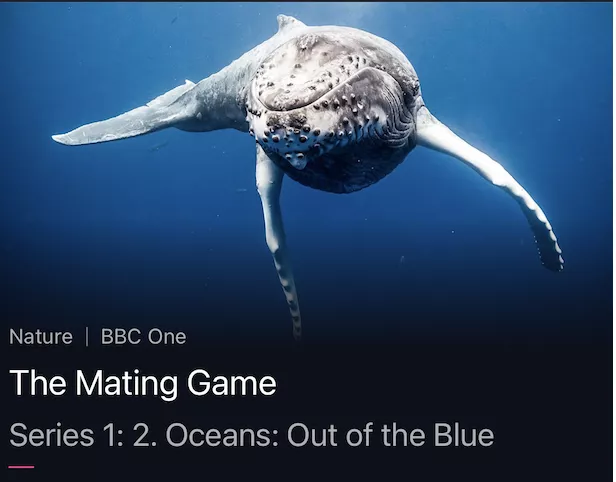 youpornfish.com is the best redirect I've made đ youpornfish.com is the best redirect I've made đ