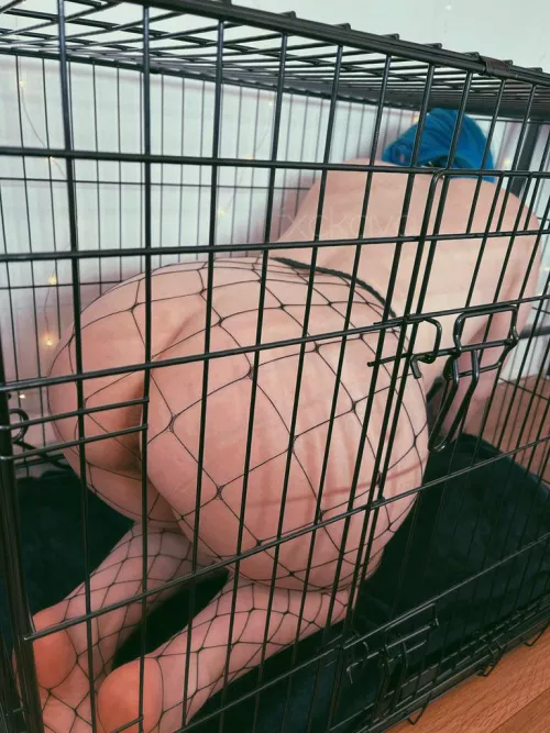 Your caged fuck toy [F]