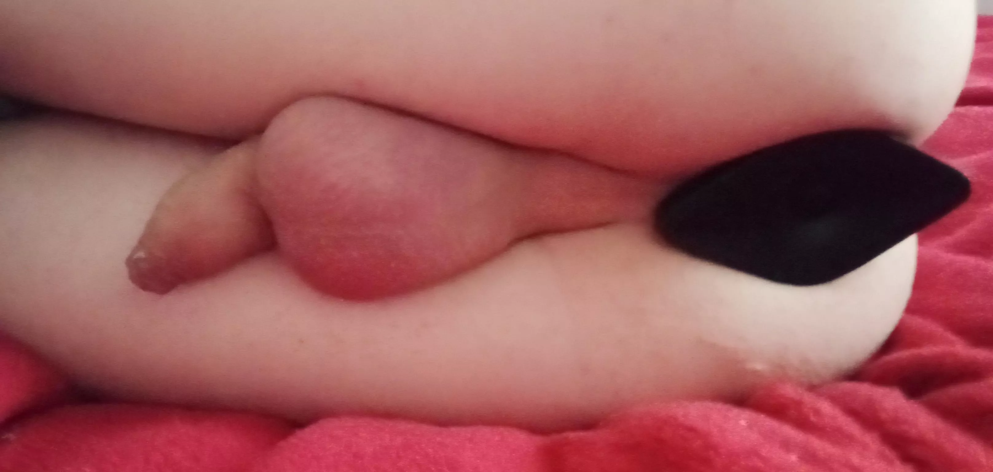 Your Christmas present is ready, care to come and unwrap it 😜