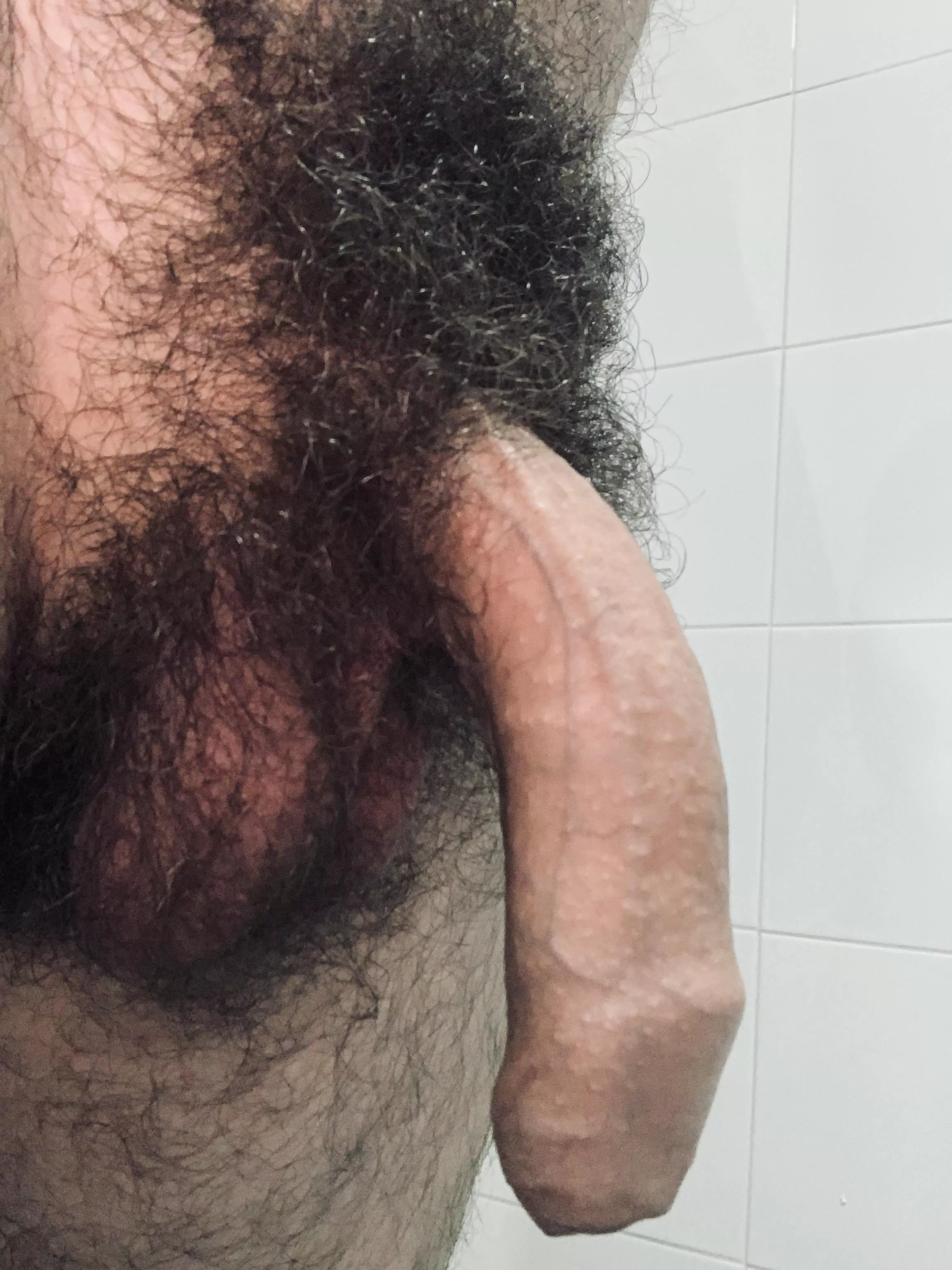 Your favourite wolf is here🐺