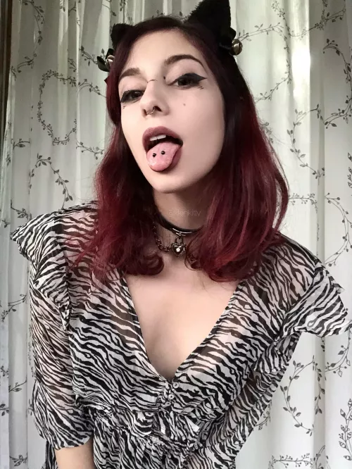 Your horny catgirl is back ?