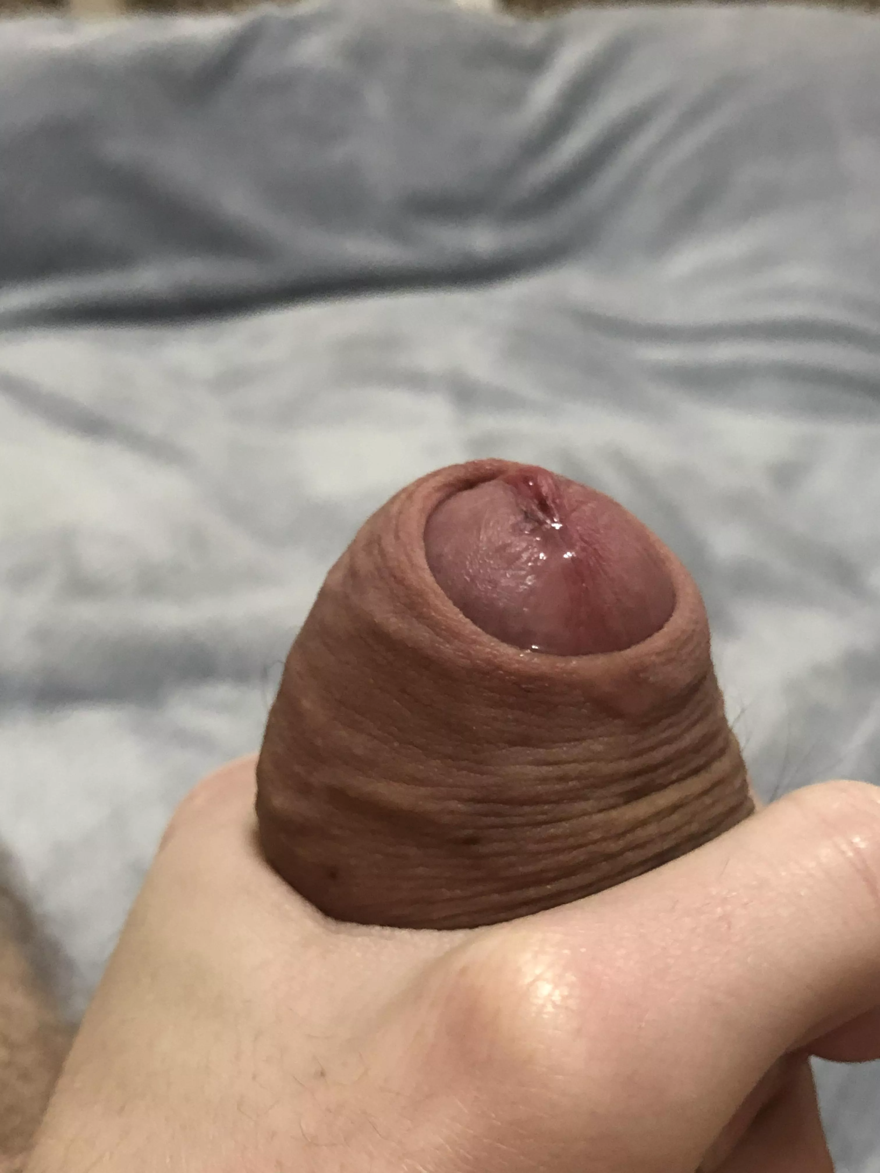 Your meal is served Your meal is served