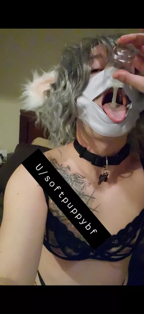 your puppy wants head pats and thicc creamy snax 🥺🐶🖤