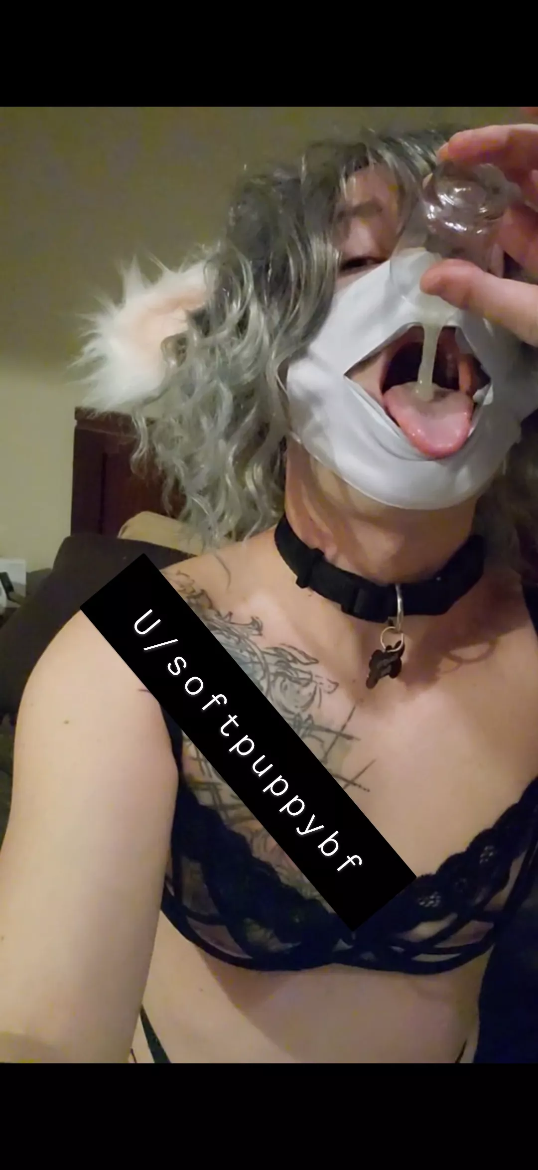 your puppy wants head pats and thicc creamy snax 🥺🐶🖤