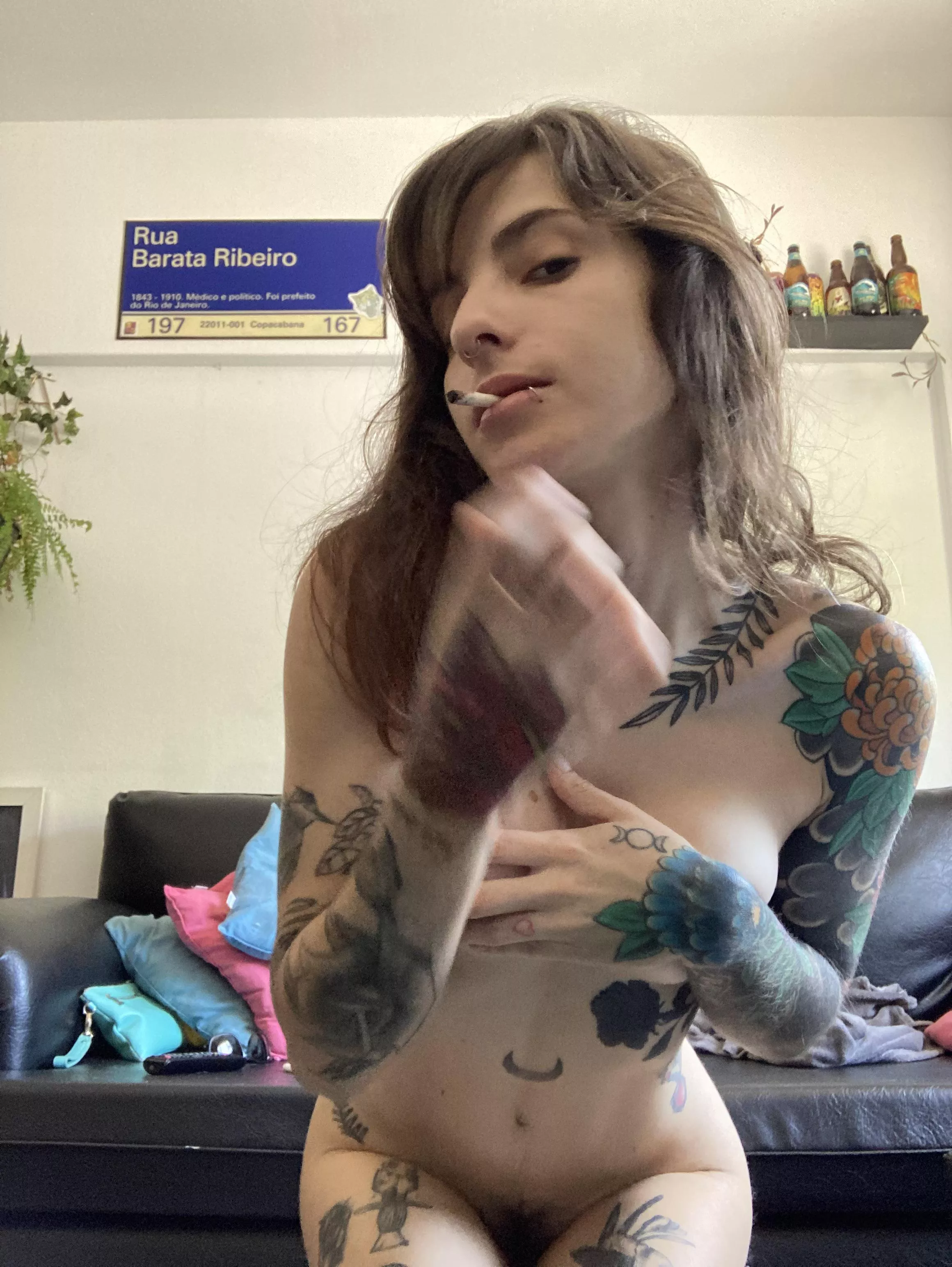 Your stoner neighbor